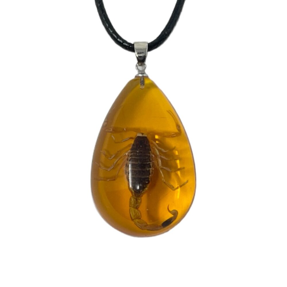 Real Scorpion Necklace in Resin